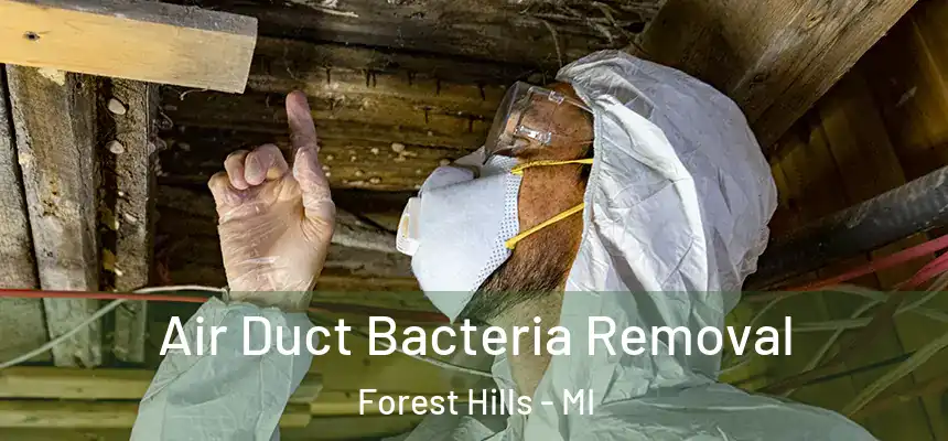  Air Duct Bacteria Removal Forest Hills - MI