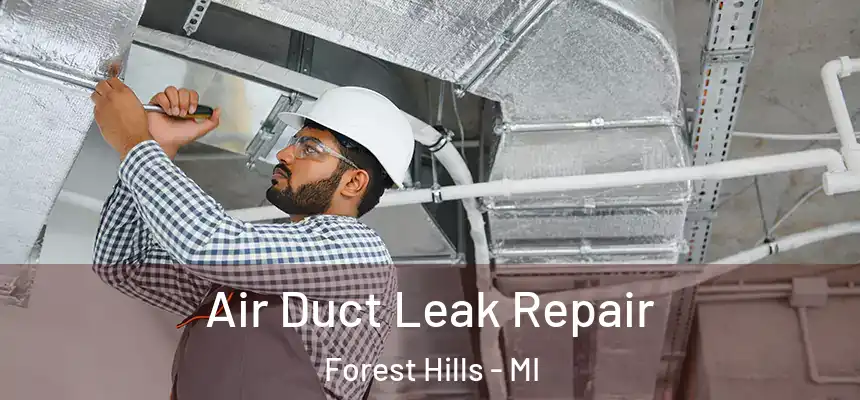  Air Duct Leak Repair Forest Hills - MI