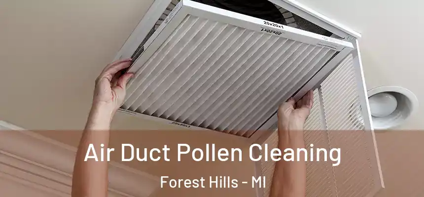 Air Duct Pollen Cleaning Forest Hills - MI