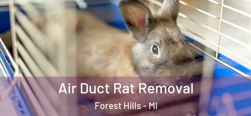 Air Duct Rat Removal Forest Hills - MI