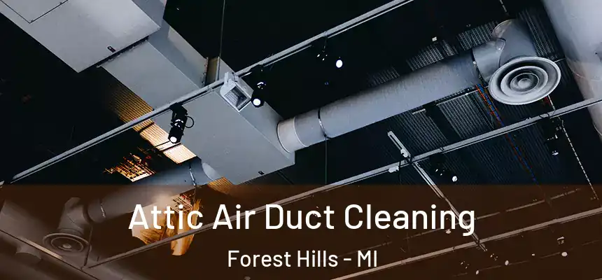  Attic Air Duct Cleaning Forest Hills - MI