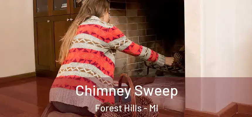 Chimney Sweep Forest Hills - MI