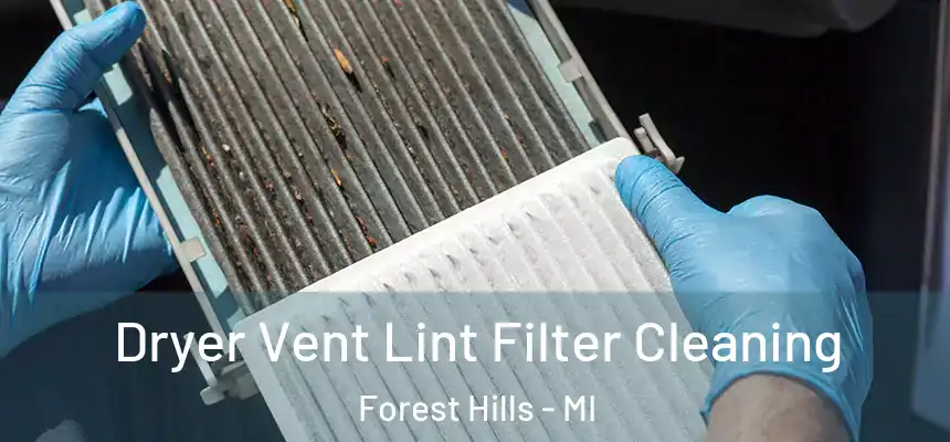  Dryer Vent Lint Filter Cleaning Forest Hills - MI
