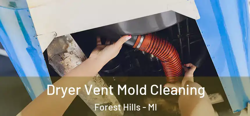  Dryer Vent Mold Cleaning Forest Hills - MI