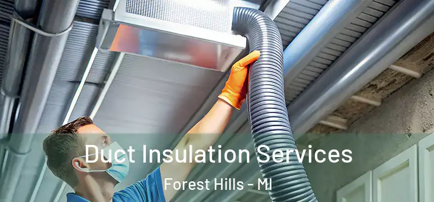 Duct Insulation Services Forest Hills - MI