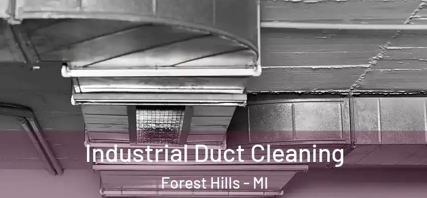 Industrial Duct Cleaning Forest Hills - MI