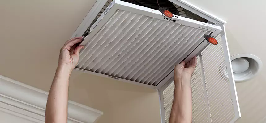 Preventive Cockroach-Proofing for Ducts in Forest Hills