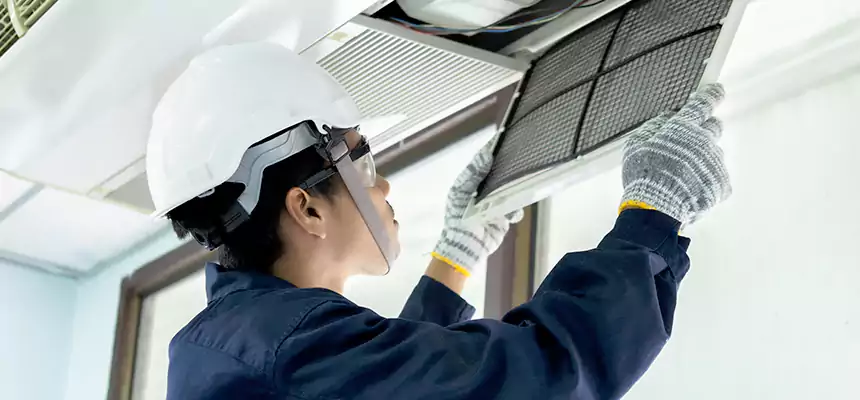 Our Mold & Mildew Removal from Air Ducts Services in Forest Hills, MI