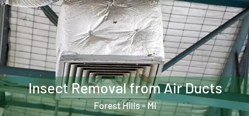 Insect Removal from Air Ducts Forest Hills - MI