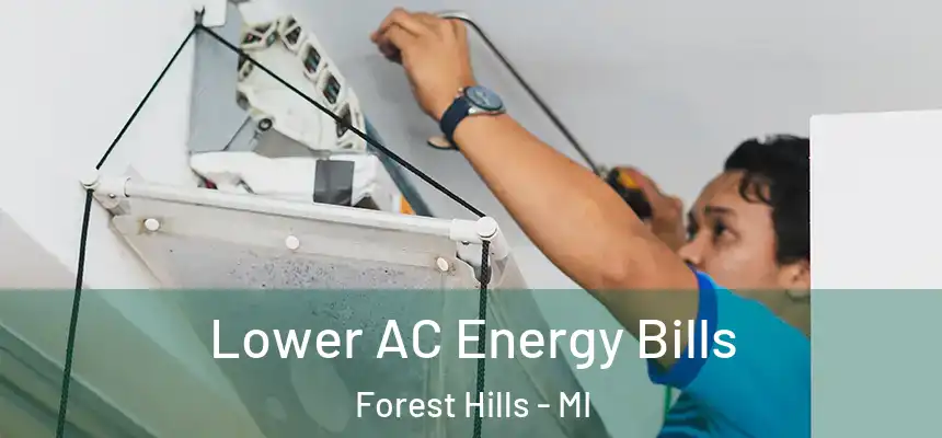 Lower AC Energy Bills Forest Hills - MI