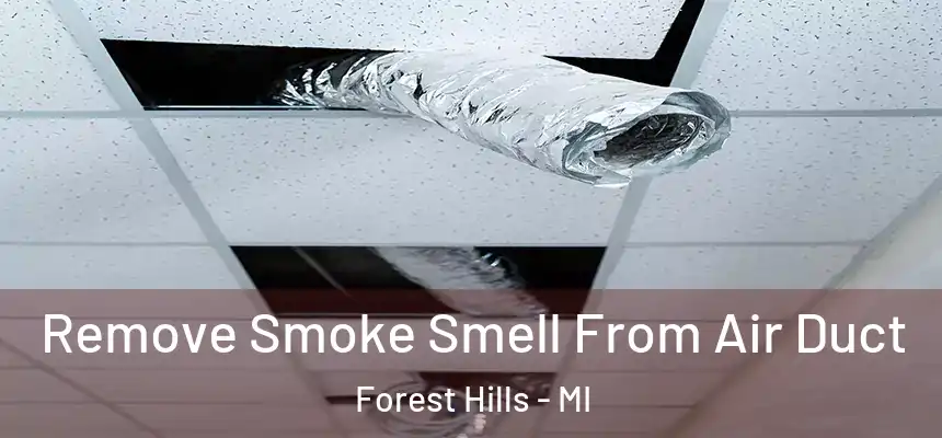  Remove Smoke Smell From Air Duct Forest Hills - MI