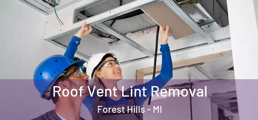  Roof Vent Lint Removal Forest Hills - MI