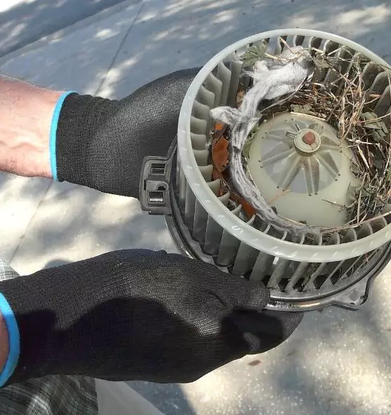 About Air Duct Mice Removal in Forest Hills, MI