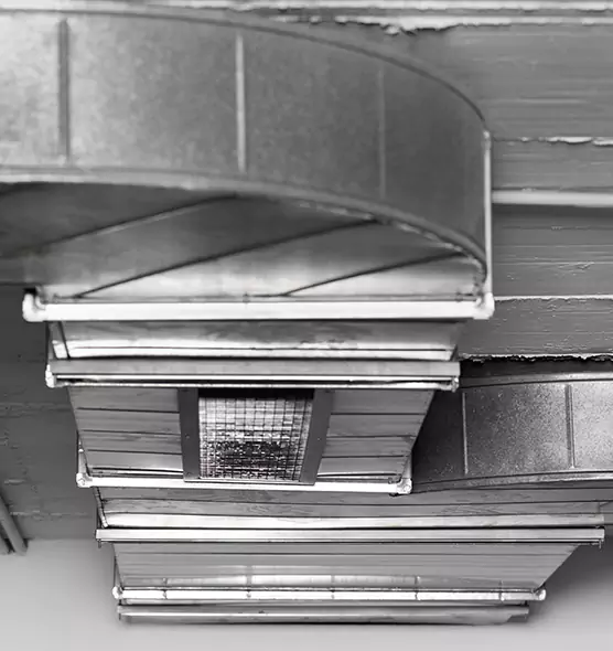 Professional Air Duct Pest Removal in Forest Hills, MI