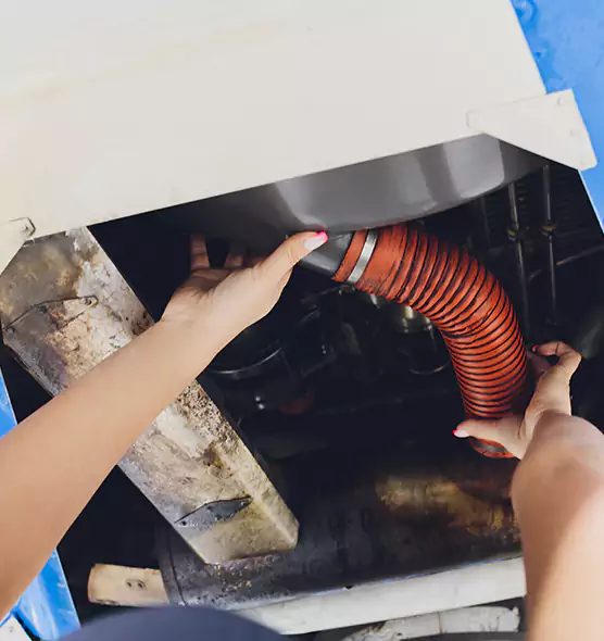 About Air Duct Virus Disinfection in Forest Hills, MI