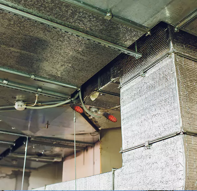 Why Homeowners & Businesses Trust Us Forest Hills, MI?