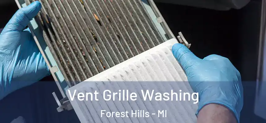  Vent Grille Washing Forest Hills - MI